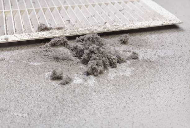 HVAC Maintenance and Cleaning in IN